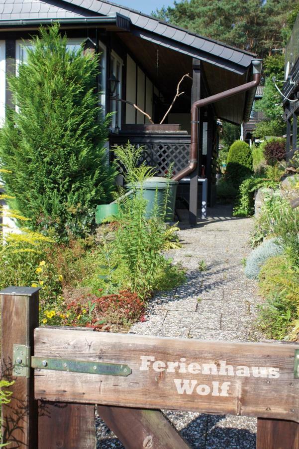 Wolfs Ferienhaus - Natuerlich Eifel بلانكينهييم المظهر الخارجي الصورة