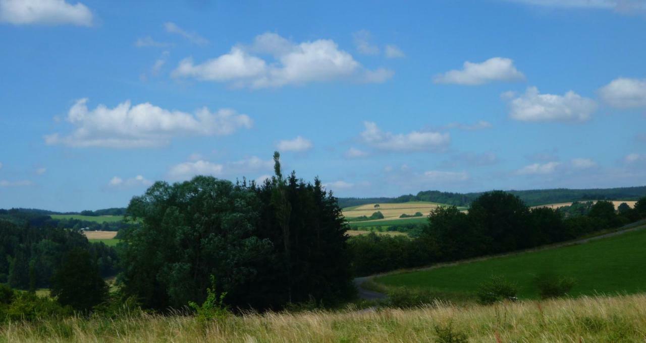 Wolfs Ferienhaus - Natuerlich Eifel بلانكينهييم المظهر الخارجي الصورة