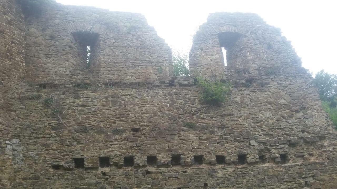 Wolfs Ferienhaus - Natuerlich Eifel بلانكينهييم المظهر الخارجي الصورة