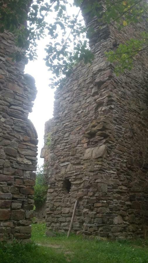 Wolfs Ferienhaus - Natuerlich Eifel بلانكينهييم المظهر الخارجي الصورة