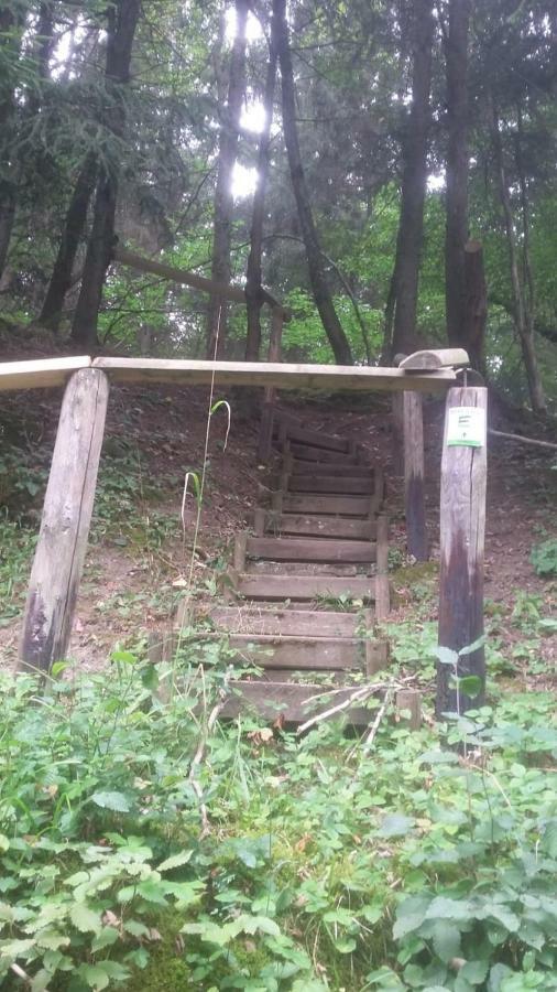 Wolfs Ferienhaus - Natuerlich Eifel بلانكينهييم المظهر الخارجي الصورة