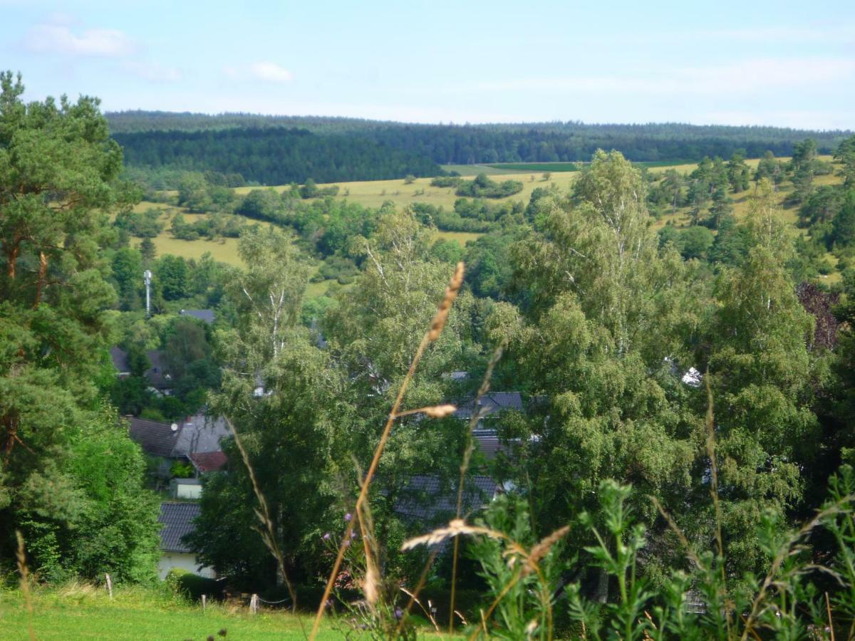 Wolfs Ferienhaus - Natuerlich Eifel بلانكينهييم المظهر الخارجي الصورة